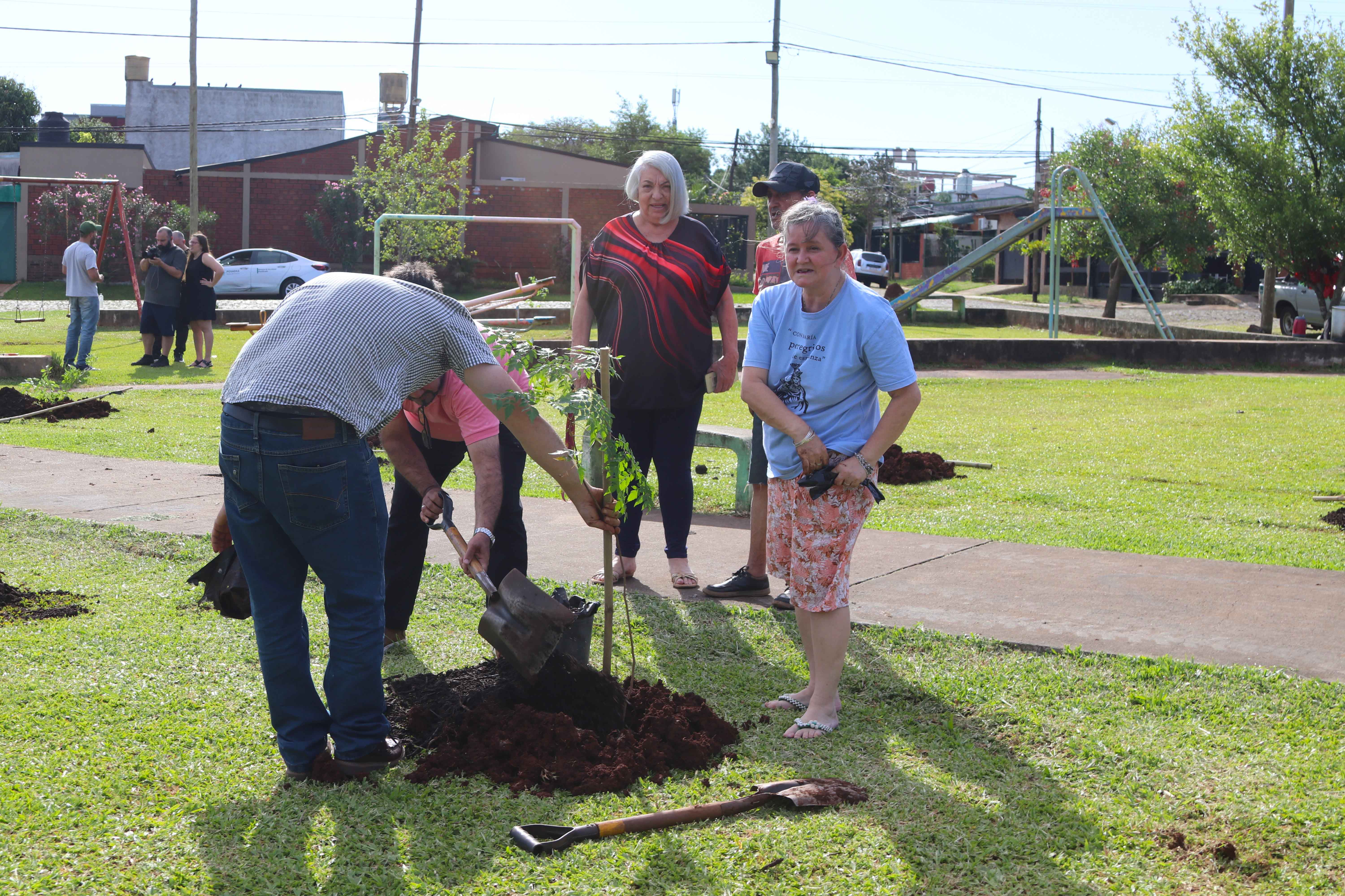 <p>"Barrios Más Verdes" realizó otra exitosa plantación de árboles</p>
